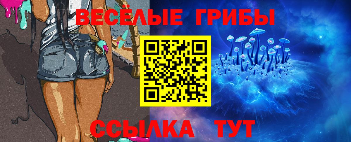 Псилоцибиновые грибы мицелий Нарьян-Мар