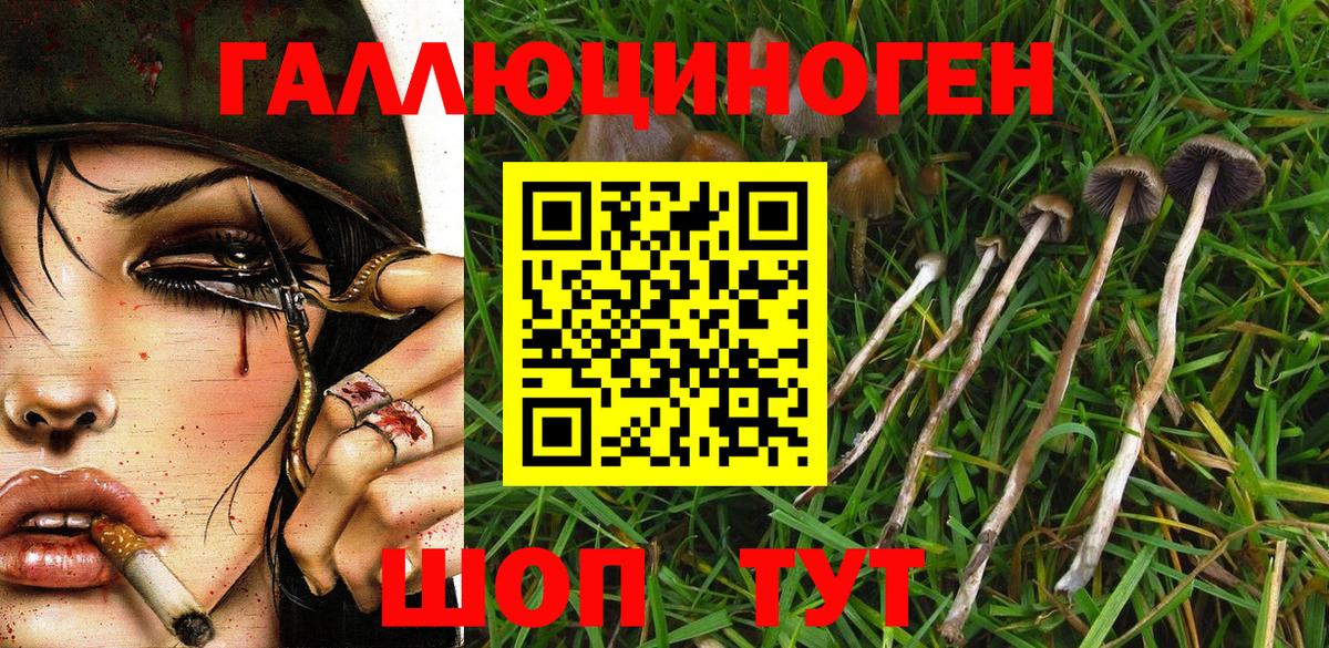 Галлюциногенные грибы мицелий  Псилоцибиновые грибы мицелий  Вход с VPN  где купить наркоту  Нарьян-Мар 